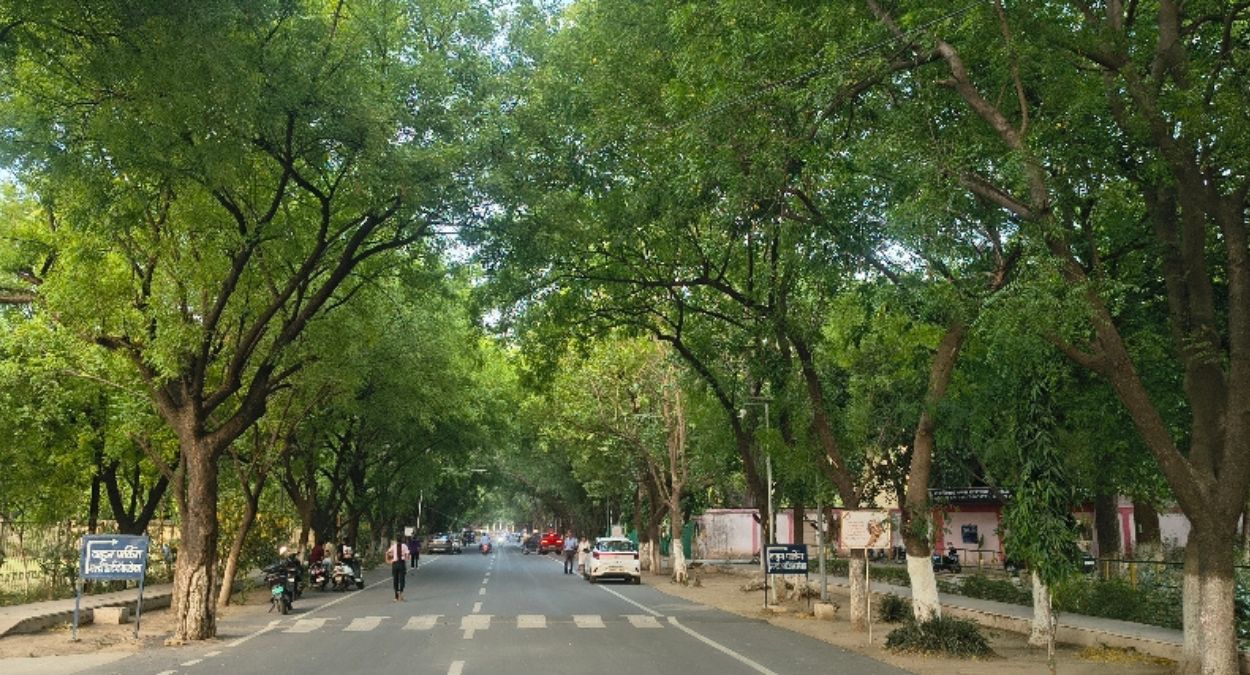 naidunia_image